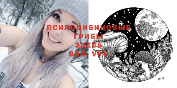 Альфа ПВП Майский