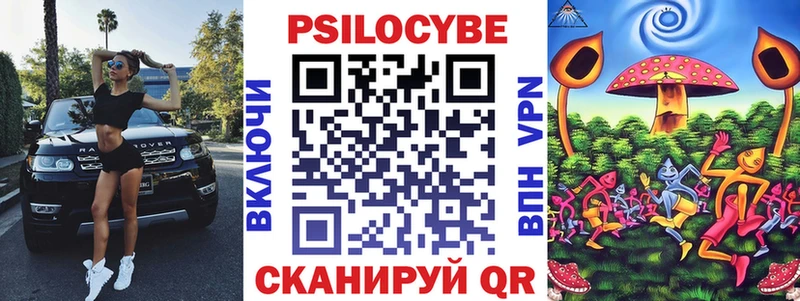 Галлюциногенные грибы Psilocybe  Мелеуз 